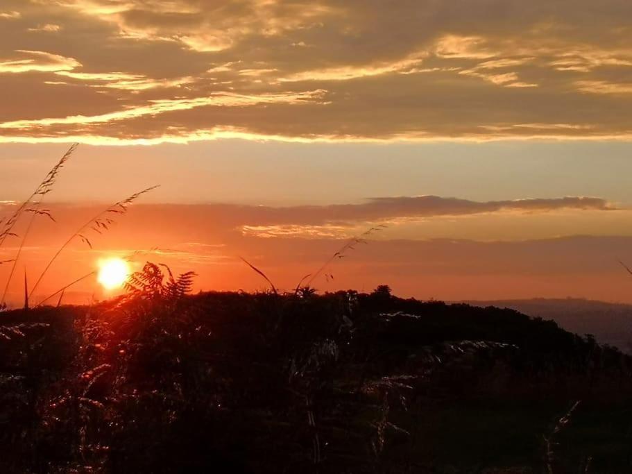 Converted Cattle Barn Overlooking Strangford Lough Newtownards Luaran gambar